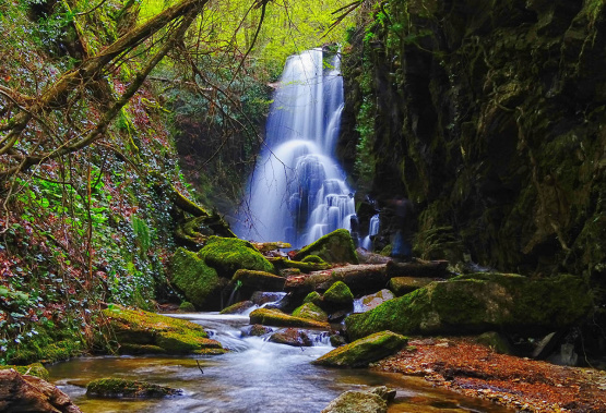 Dağpınar Şelalesi