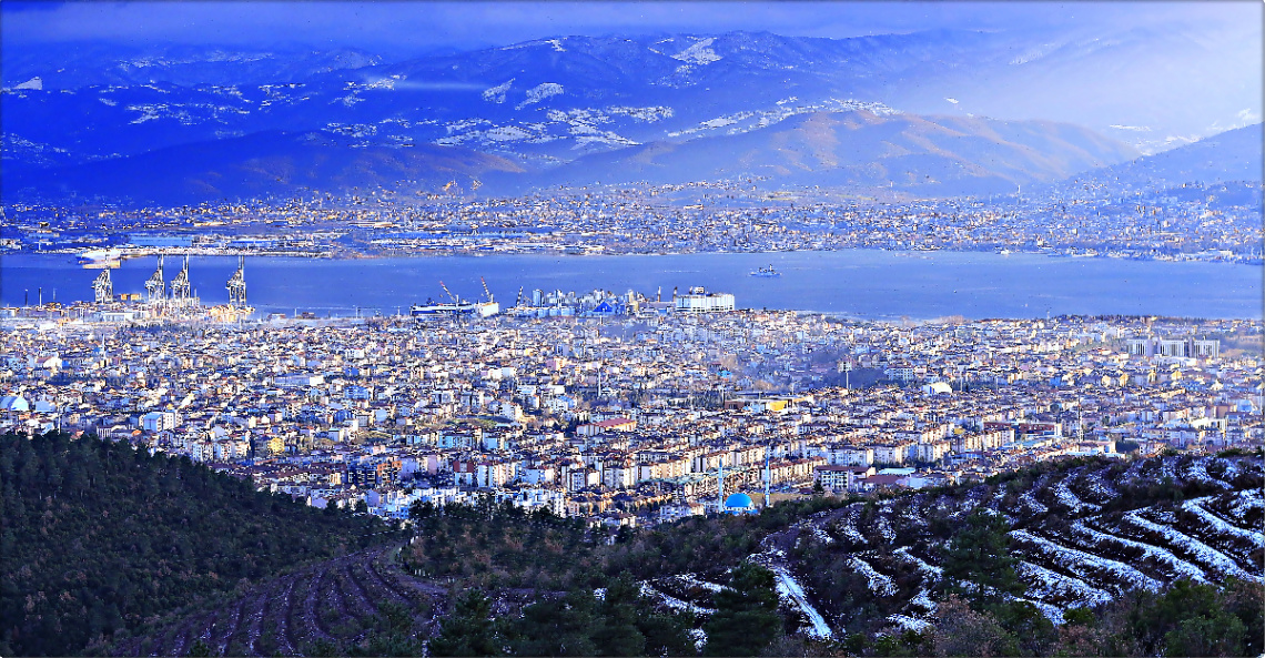 DERİNCE'YE KUŞ BAKIŞI