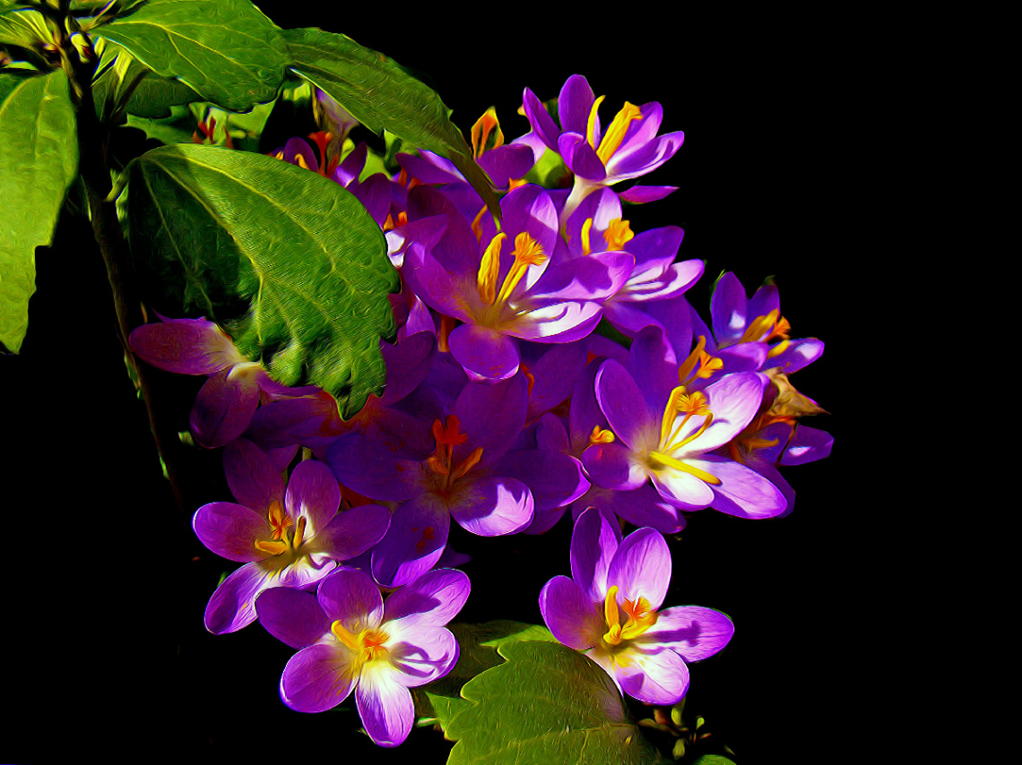 BLÜTEN