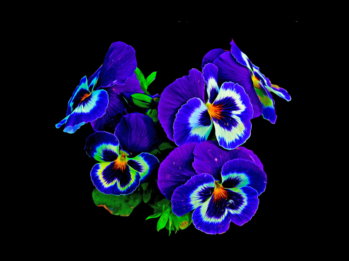 BLÜTEN