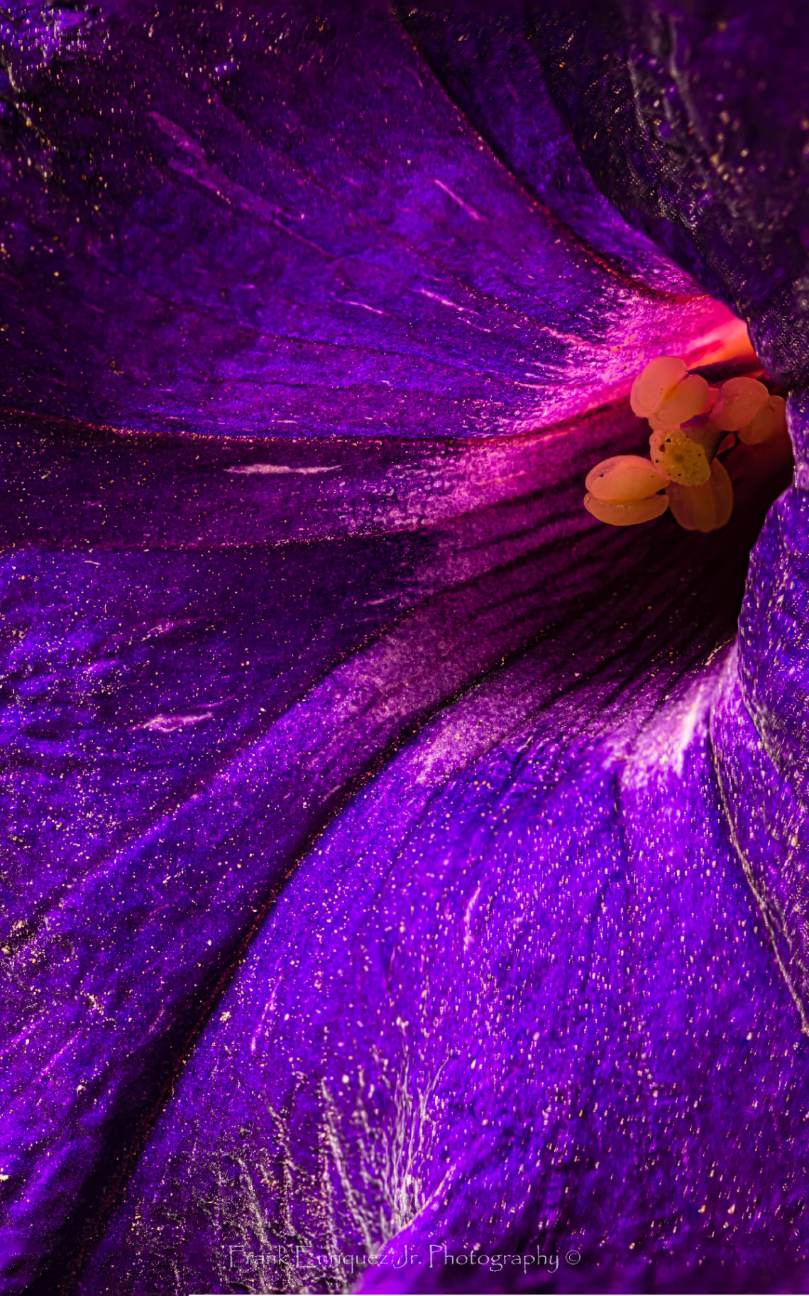 Up Close And Purple