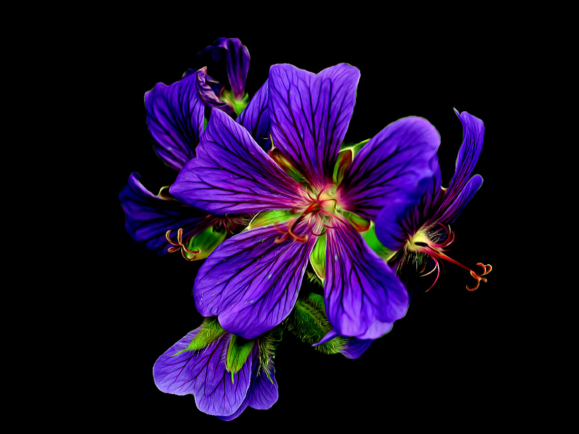BLÜTEN