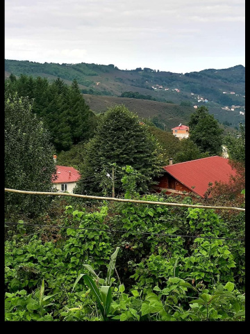 Yeşil Karadeniz
