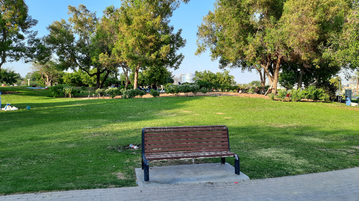Garden 