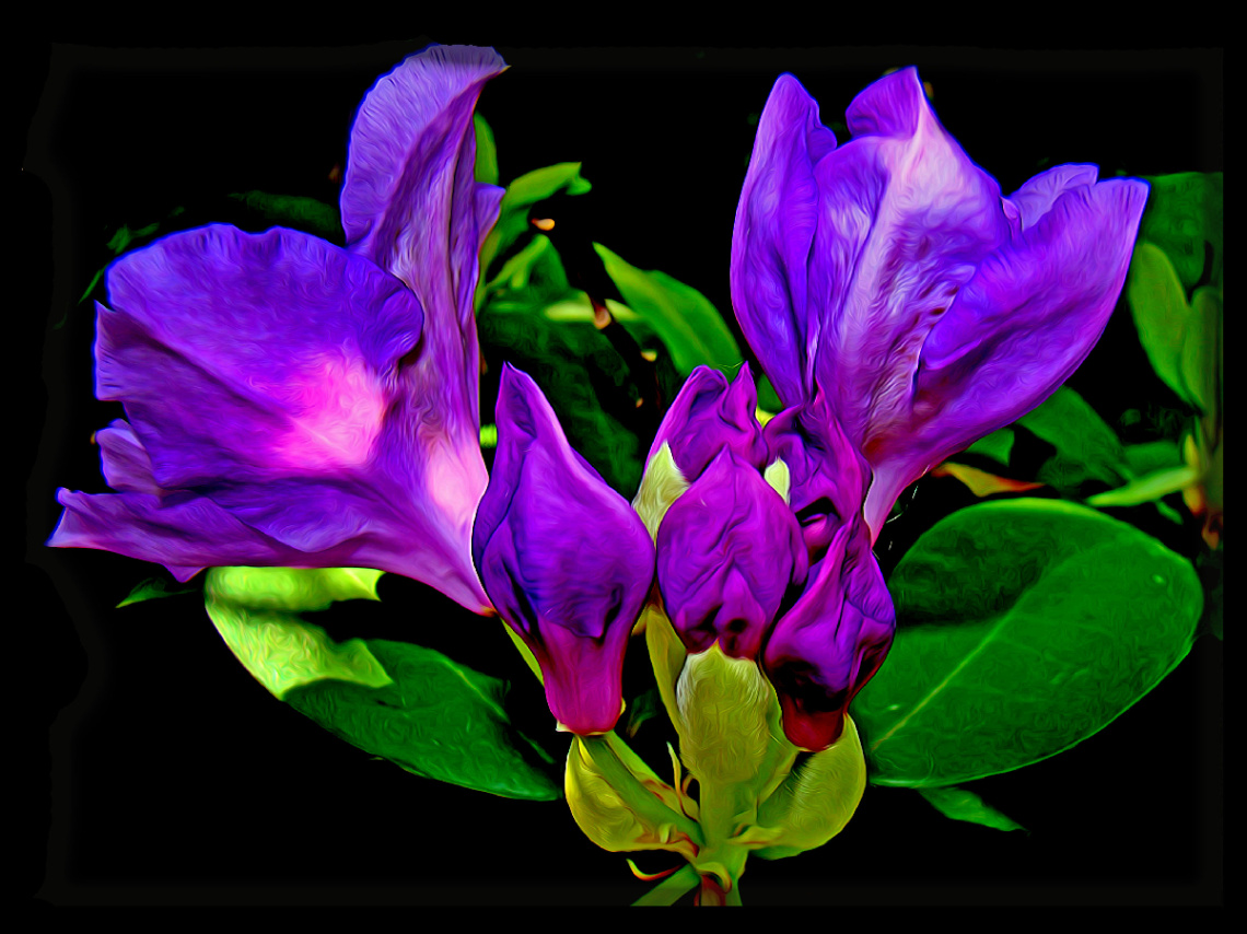 BLÜTEN