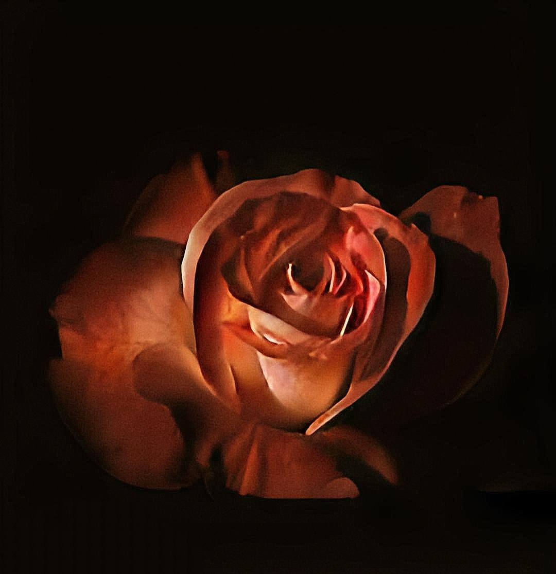 A Whisper in shadows 