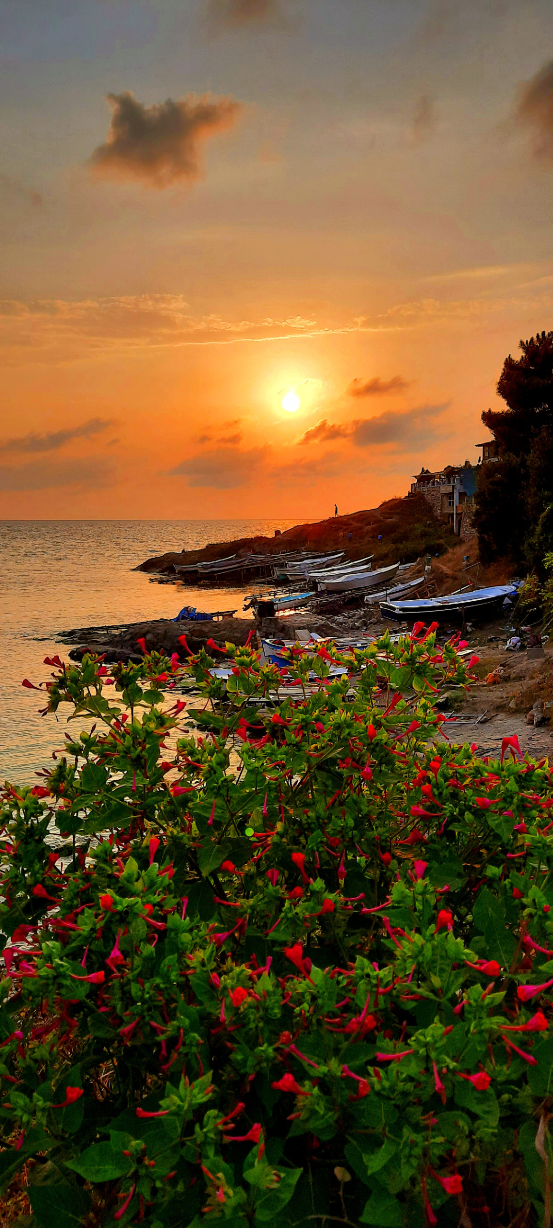 Güzelcehisar