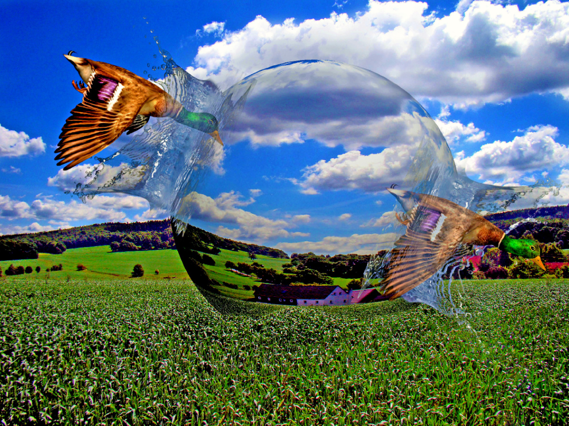 FOTOMONTAGE