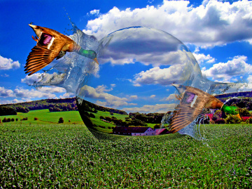 FOTOMONTAGE