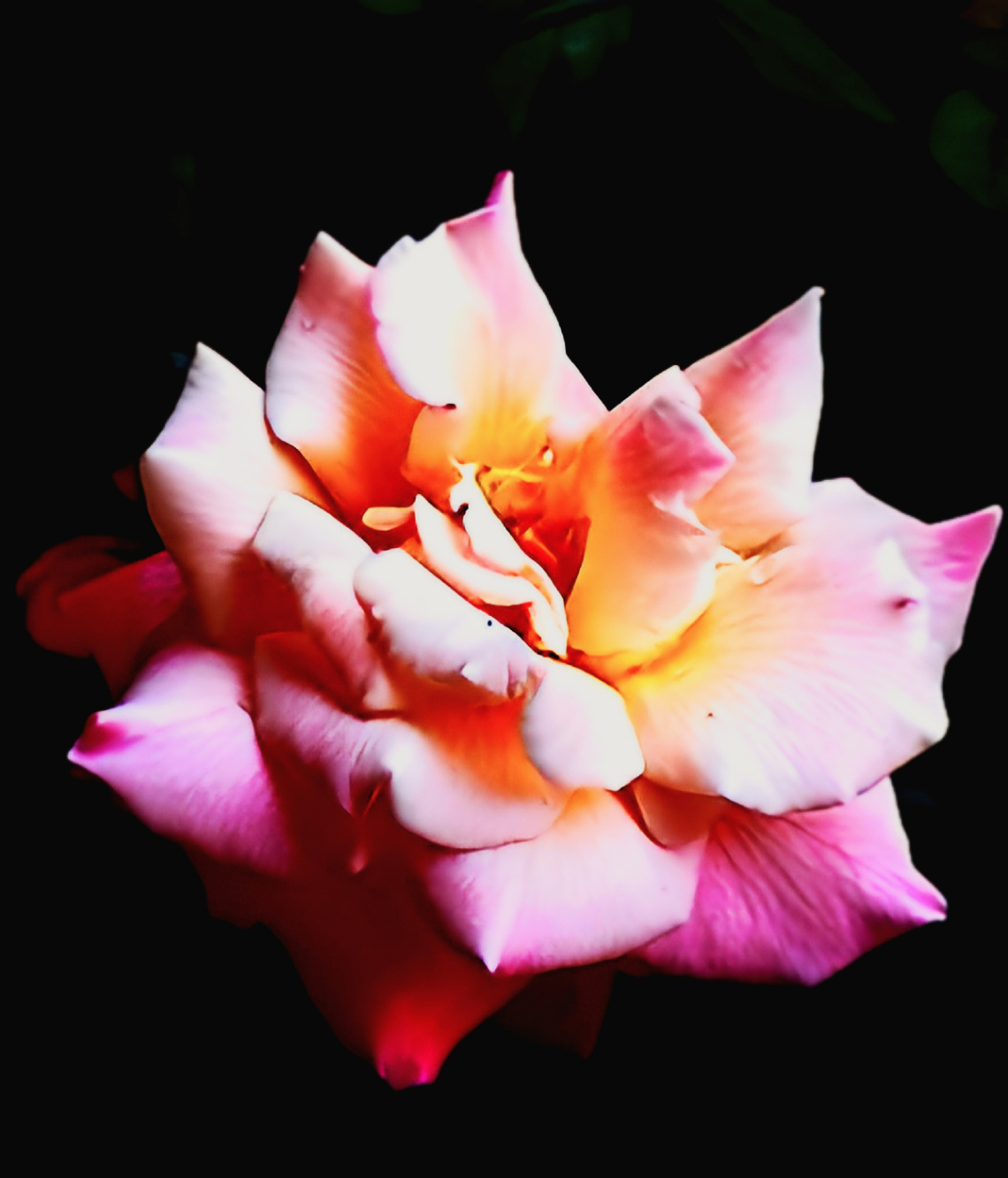 Pulsar of a kind ⚜️