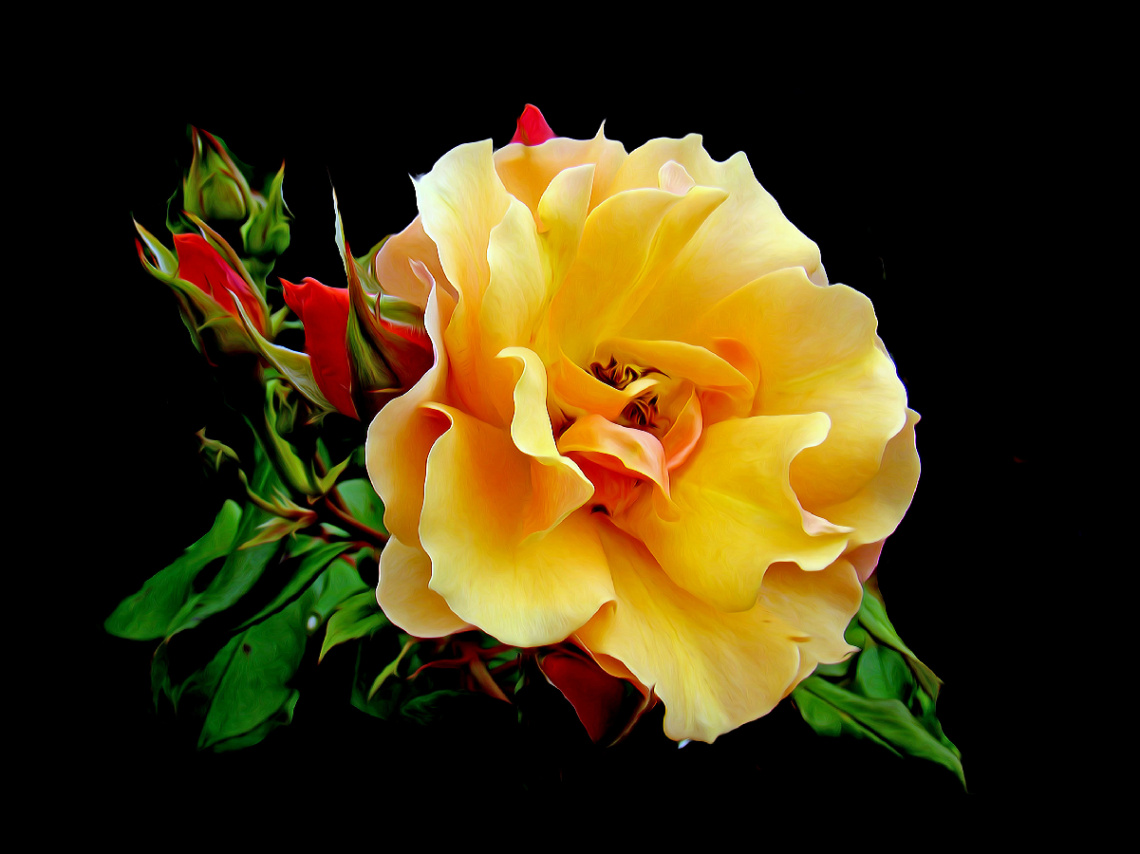BLÜTE