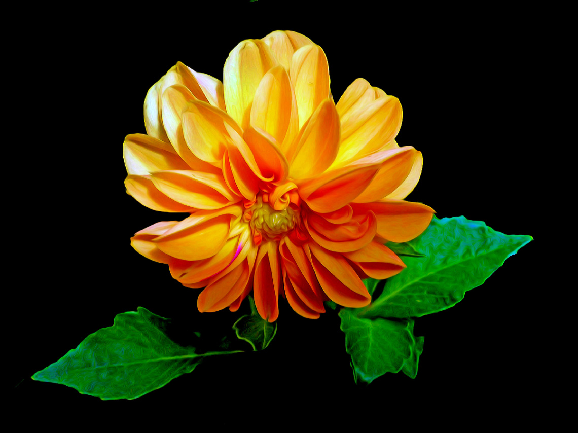 BLÜTE