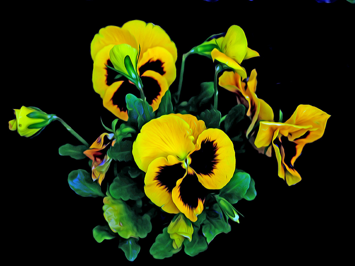 BLÜTEN