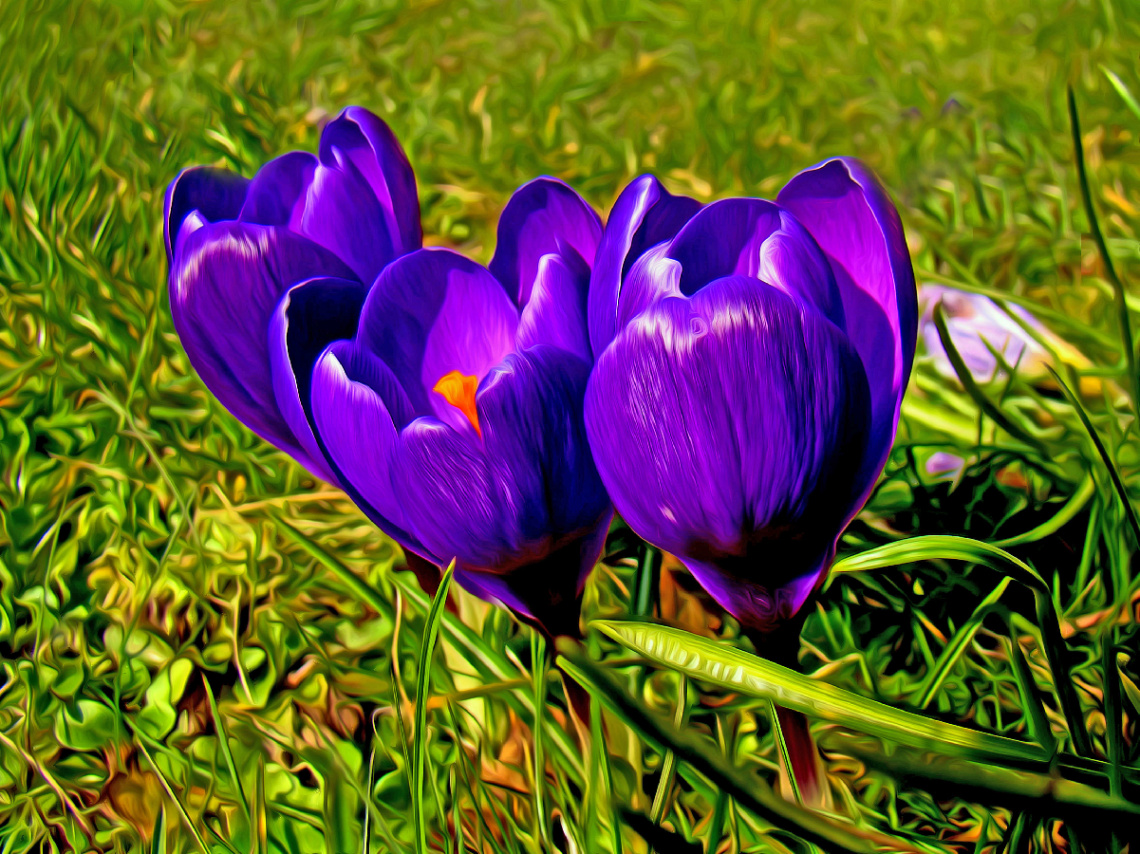 BLÜTEN