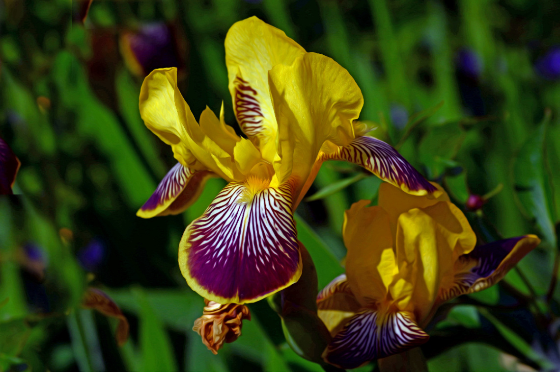 BLÜTEN