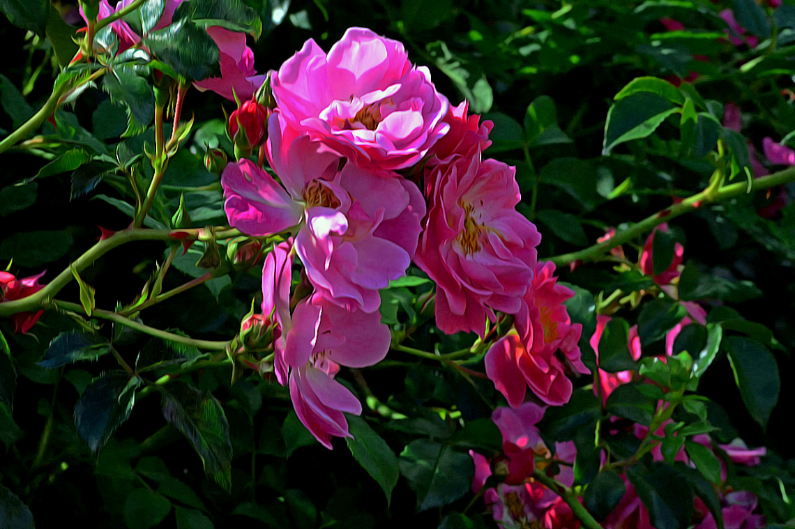 BLÜTEN