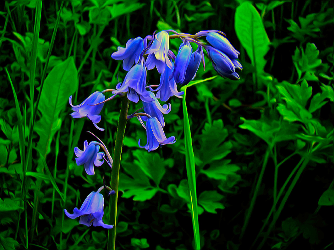 BLÜTEN