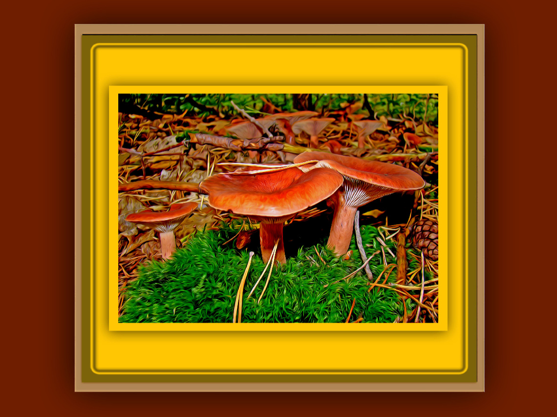 MIT RAHMEN / GEMÄLDE