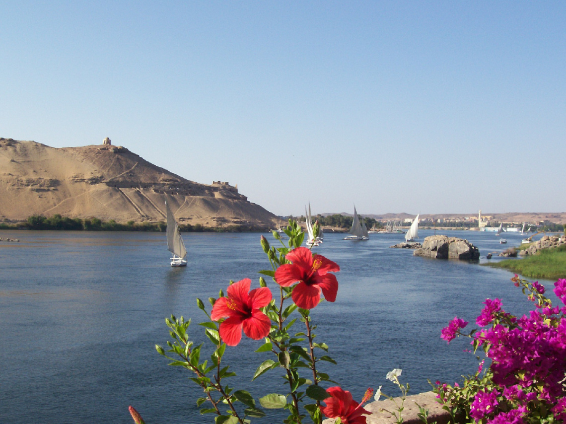 Egypt  - Aswan  - Nile River 