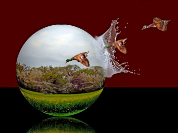 FOTOMONTAGE