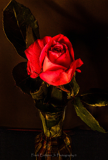 A Rose For Your Weekend