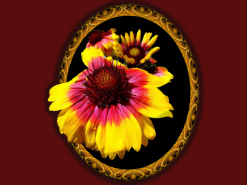 BLÜTEN MIT RAHMEN 