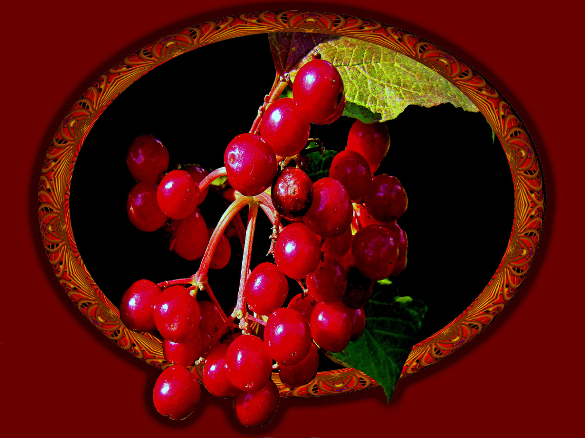BEEREN MIT RAHMEN 