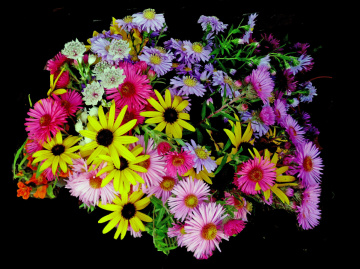 BLÜTEN