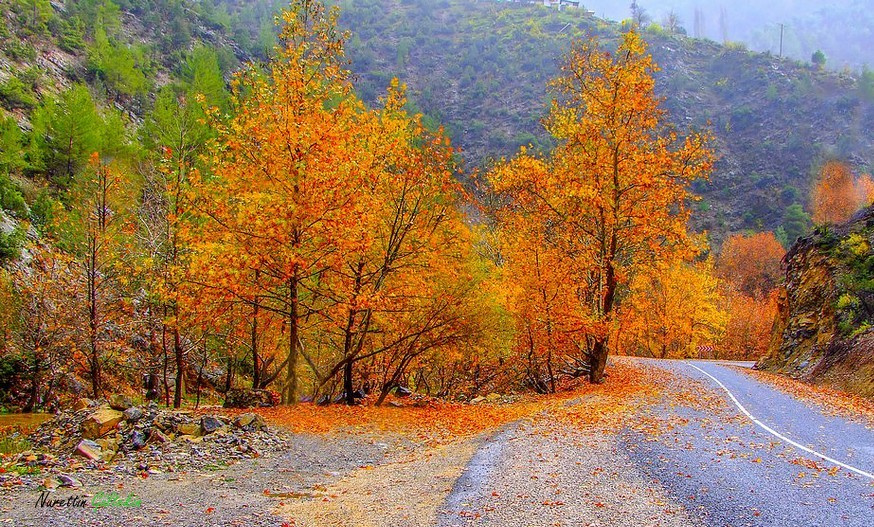 SONBAHARDAN
