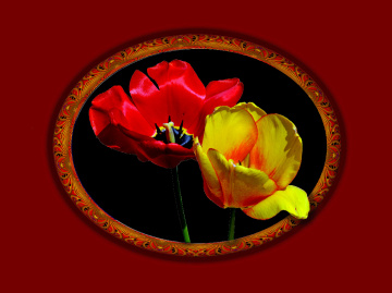 BLÜTEN MIT RAHMEN