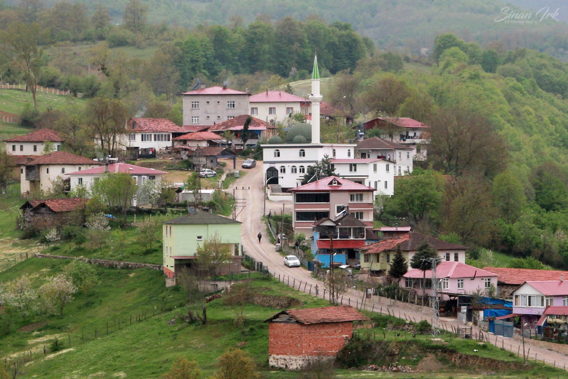 DOĞA