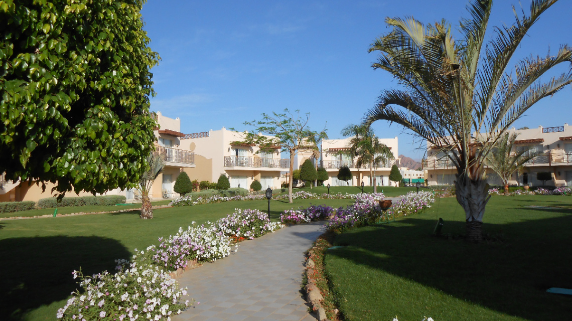 Egypt  - Hurghada