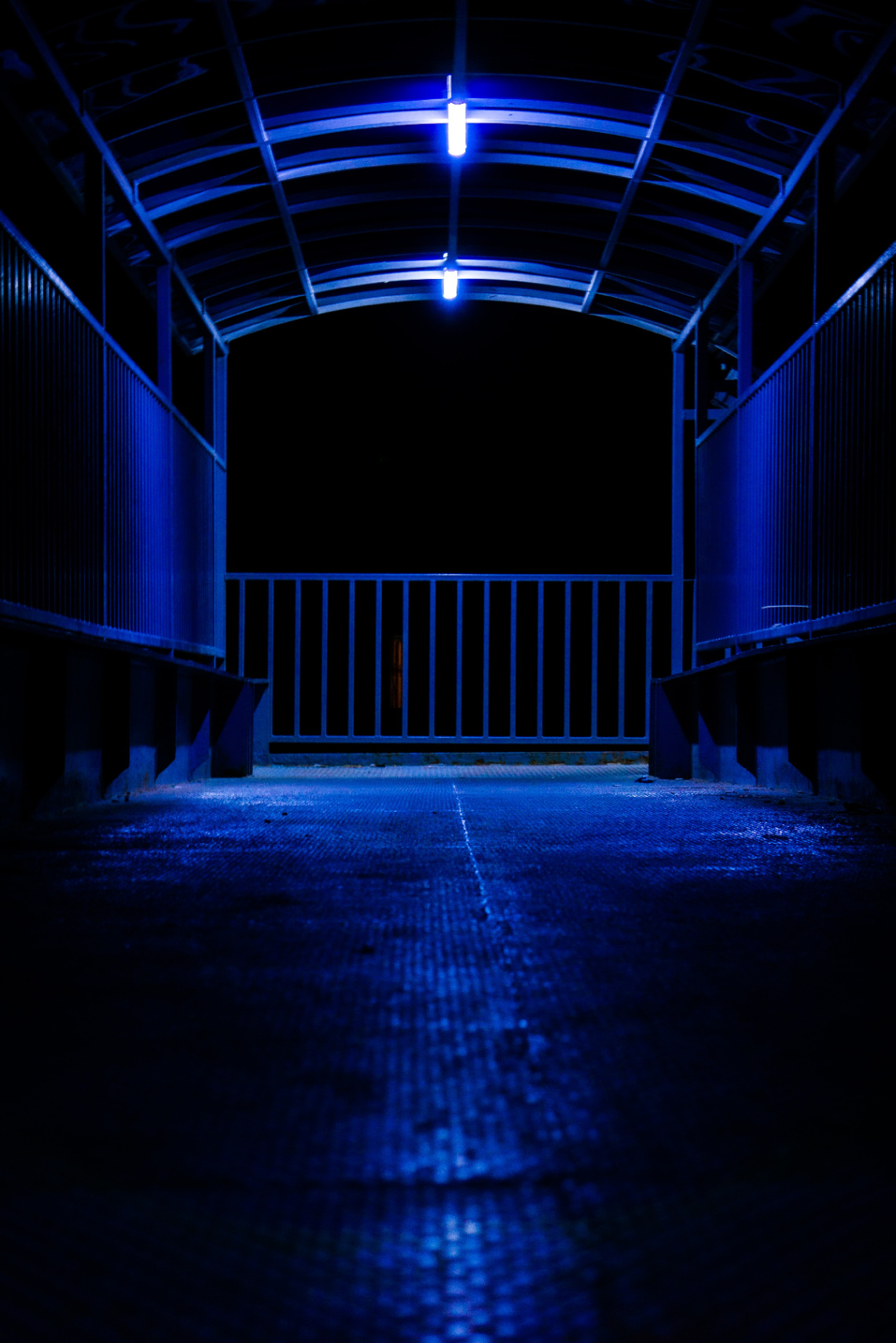 Night
