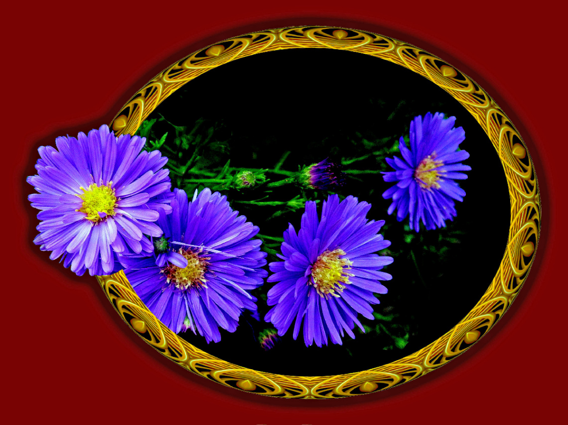 BLÜTEN