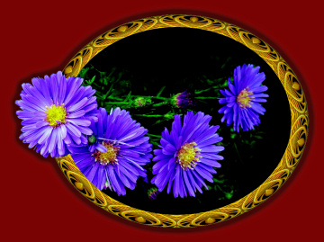 BLÜTEN