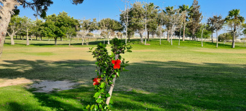 Egypt  -  North coast  