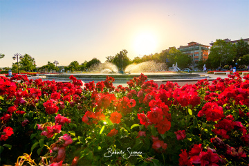 Çiçekler-Tekirdağ