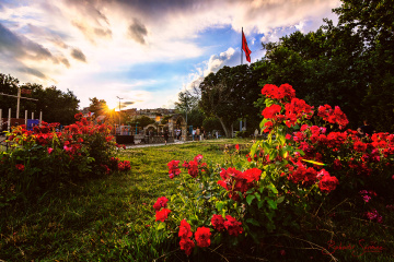 Tekirdağ