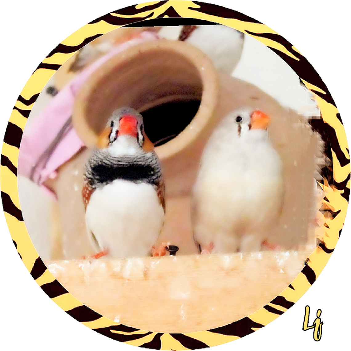 Cute Pair