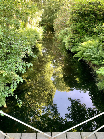 Reflection