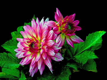 BLÜTEN