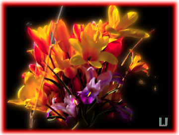 For you all