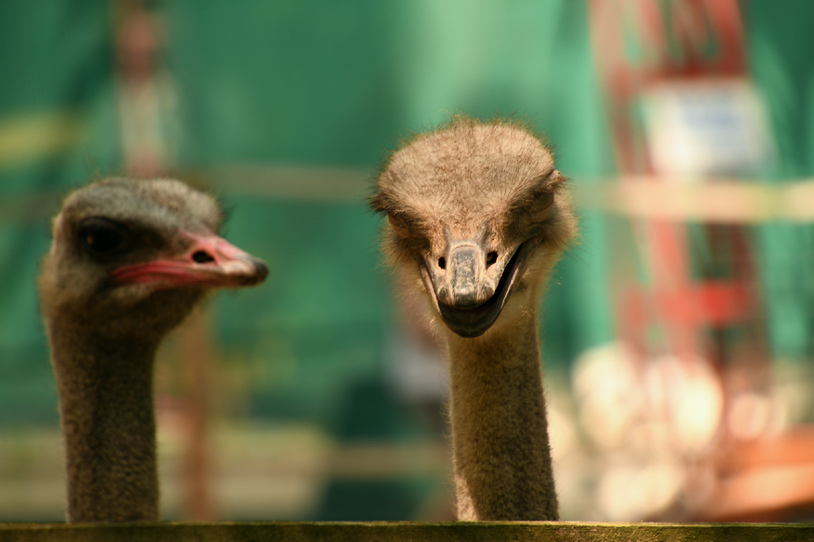 ... Hi ! smile - it's Friday tomorrow!