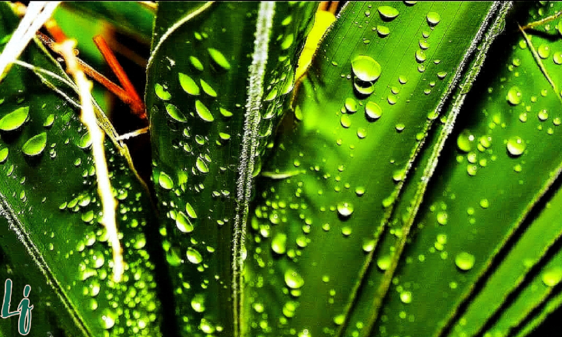 After Rain 