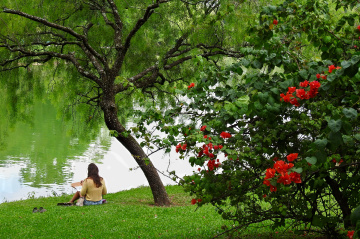Desenhando no parque