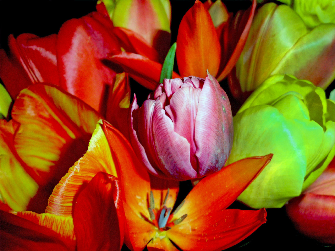 BLÜTEN
