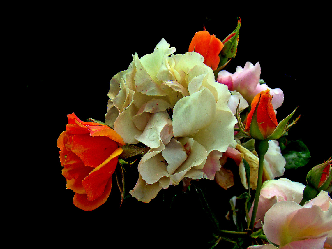 BLÜTEN