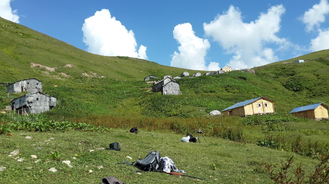 Artvin Heba Yaylası 