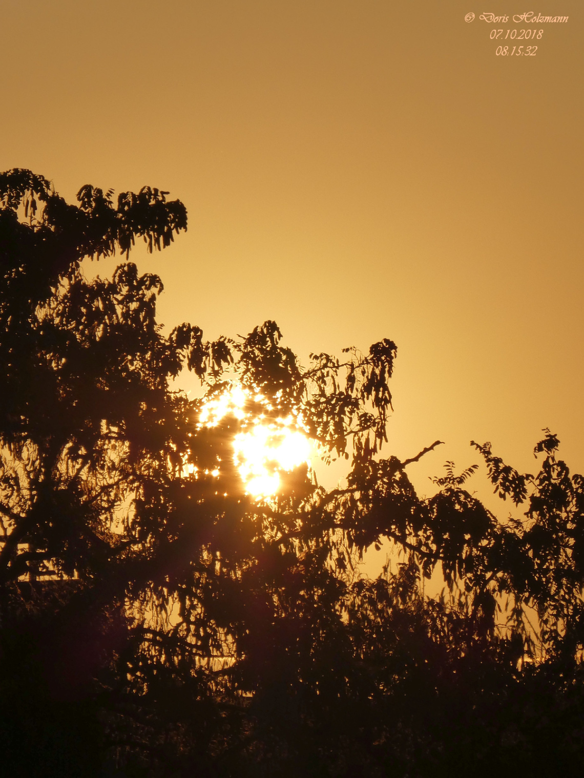 sunrise