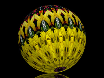 BLUMENKUGEL